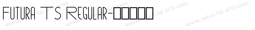 Futura TS Regular字体转换